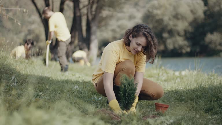 Best Stump Grinding and Removal  in Dillon, MT